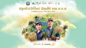 ธ.ก.ส. จับมือ GIZ จัดงาน “ปลูกข้าววิถีใหม่ มีทุนให้จาก ธ.ก.ส.” เติมทุนเกษตรกรปรับแนวทางปลูกข้าวลดการปล่อยก๊าซเรือนกระจก สู่การเติบโตอย่างยั่งยืน