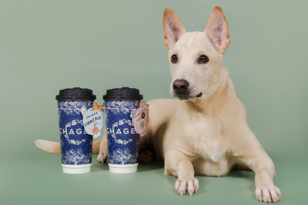 CHAGEE จับมือ Soi Dog เปิดตัวโครงการ CSR สุดอบอุ่น “Sip for Paws” เปลี่ยนทุกจิบเป็นพลังให้เพื่อนสี่ขา ชวนคนรักชาเปลี่ยนคะแนนสะสมเป็นเงินบริจาค ร่วมเวิร์กชอปทำของเล่นและหาบ้านใหม่ให้น้องหมาน้องแมว